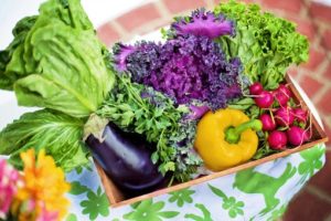 nutrition